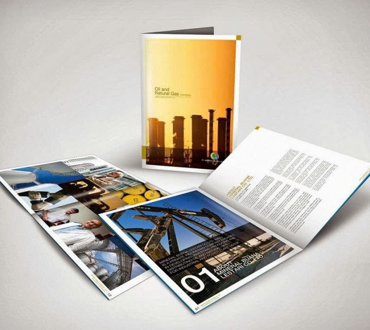 Catalogue công ty dầu khí
