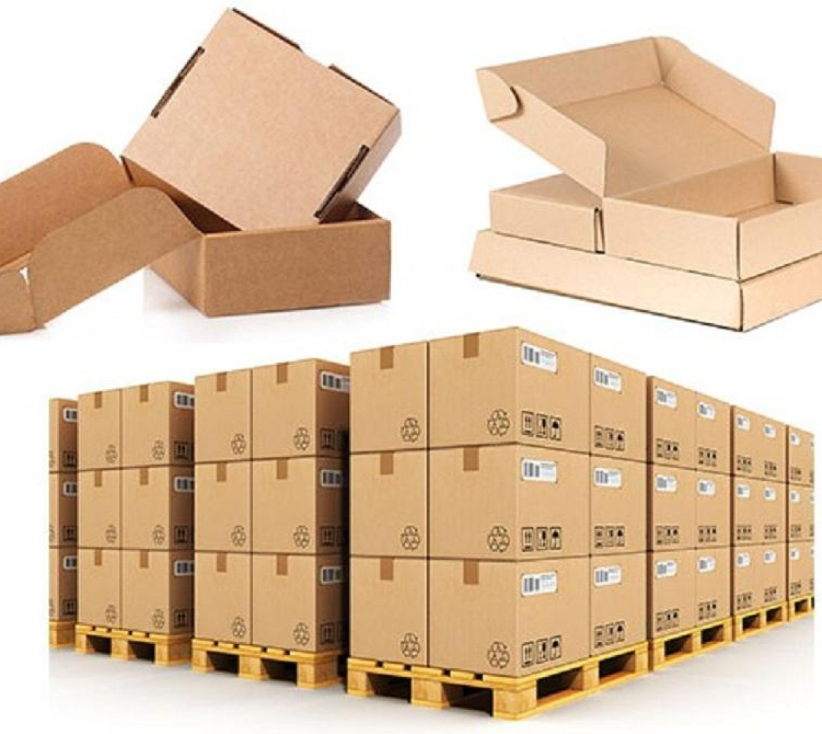 In Thùng Carton